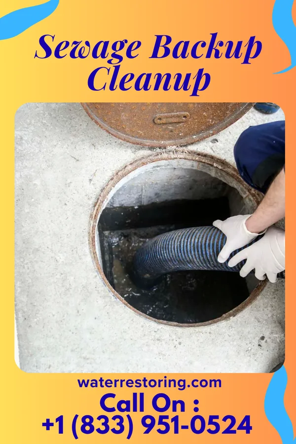 Sewage Backup Cleanup in Meridian, OK